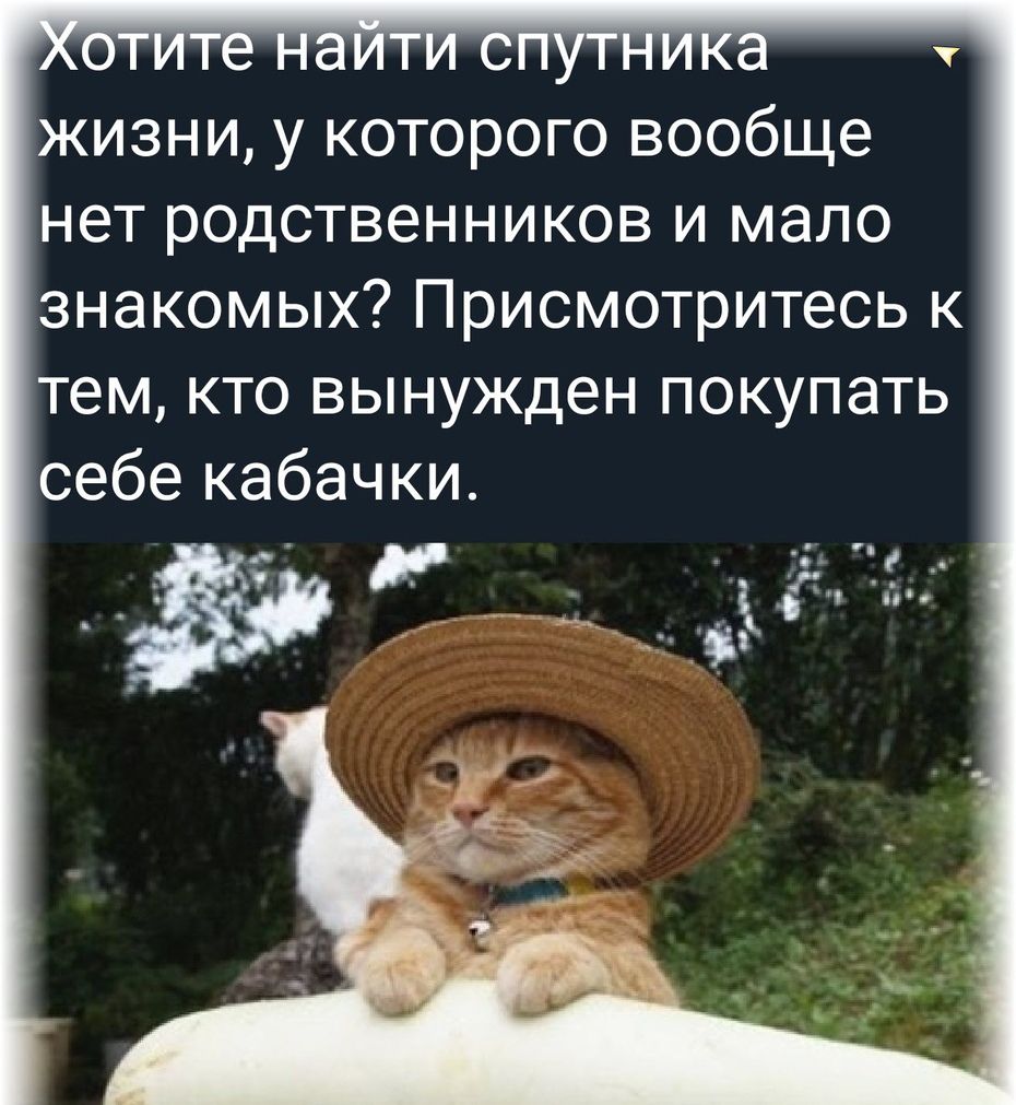 жизни у которого вообще нет родственников и мало знакомых Присмотритесь к тем кто вынужден покупать себе кабачки