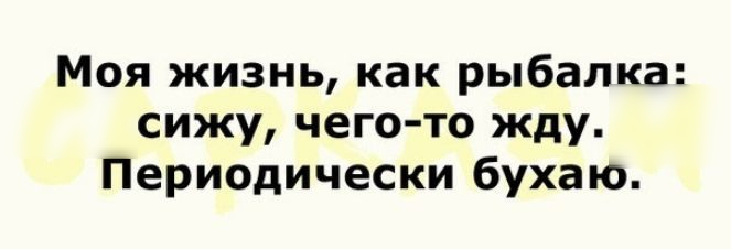 Моя жизнь как рыбалка сижу чего то жду Периодически бухаю