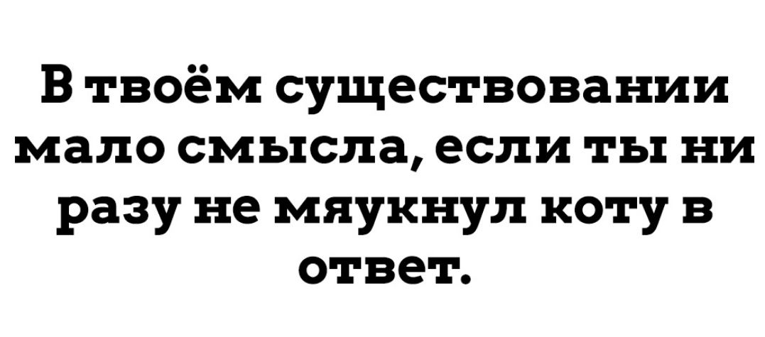 В твоём существовании мало смысла если ты ни разу не мяукнуп коту в ответ