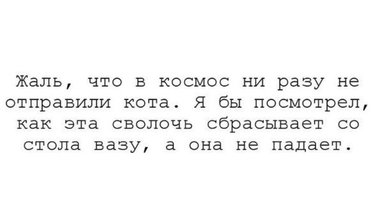 Жаль что в космос ни разу не отправили кота Я бы посмотрел как эта сволочь сбрасывает со стола вазу а она не падает