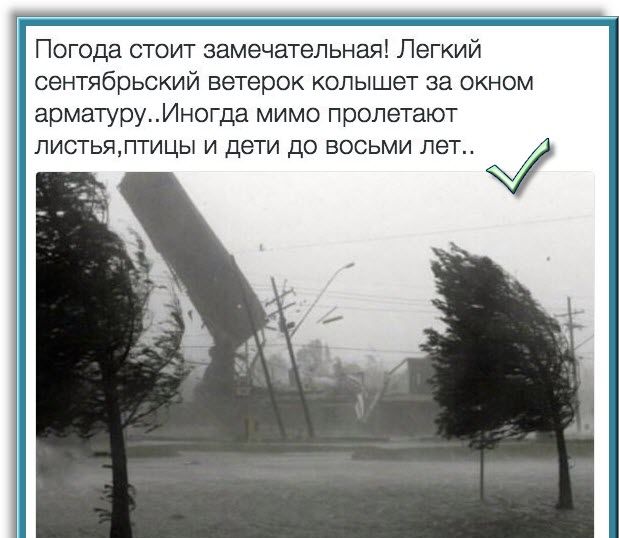 Погода стоит замечательная Легкий сентябрьский ветерок колышет за окном арматуруИногда мимо пролетают ЛИСТЬЯПТИЦЫ И дети дО ВОСЬМИ ПЭТ