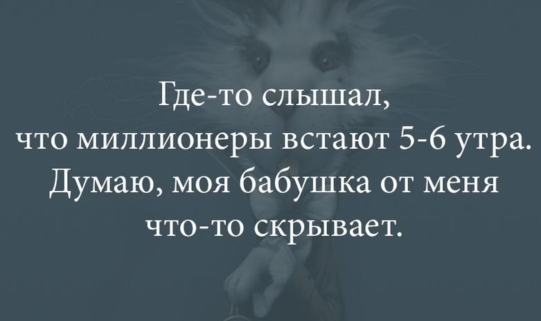 Гдето слышал что миллионеры встают 56 утра Думаю моя бабушка от меня чтото скрывает