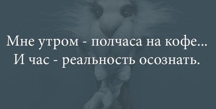 Мне утром полчаса на кофе И час реальность осознать