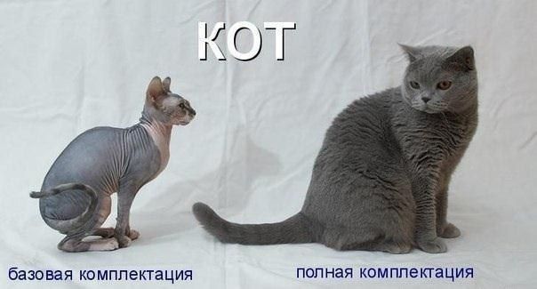 базовая комплектация полная омппетация