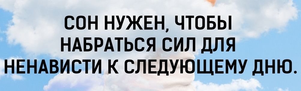 СОН НУЖЕН ЧТОБЫ НАБРАТЬСЯ СИЛ ДЛЯ НЕНАВИСТИ К СЛЕДУЮЩЕМУ ДНЮ