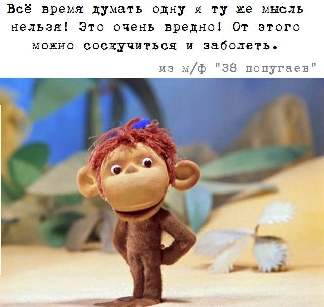 Всё время думать одну и ту же мысль нельзя Это очень вредно От этого можно соскучиться и заболеть из Мф 38 попугаев