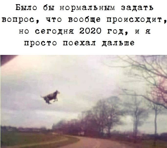 Было бы нормальным задать вопрос что вообще происходит но сегодня 2020 год и я просто поехал дальше