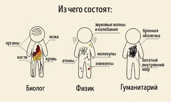 Из чего состоят звуковые нплиы колебания п олечка Г Битый элемент ФШР мир молекулы Гуманитарий