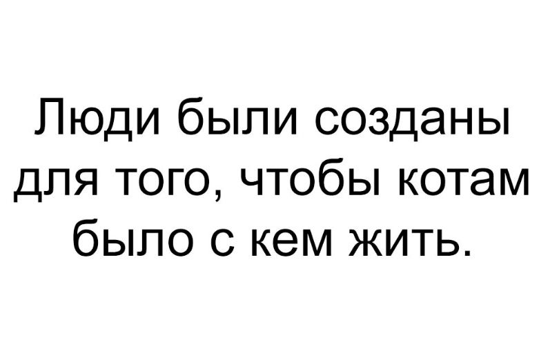 Люди были созданы для того чтобы котам было с кем жить