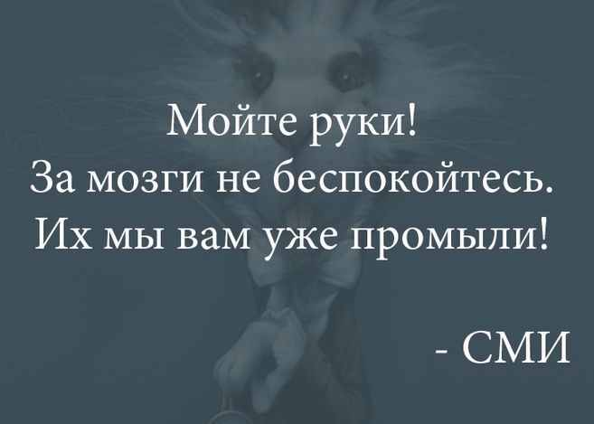 Мойте руки За мозги не беспокойтесь Их МЫ вам уже промыли СМИ