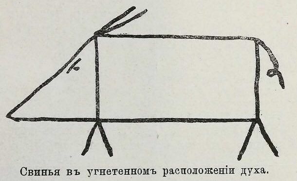 Свинья въ угнетенноиъ рясположеніи духам