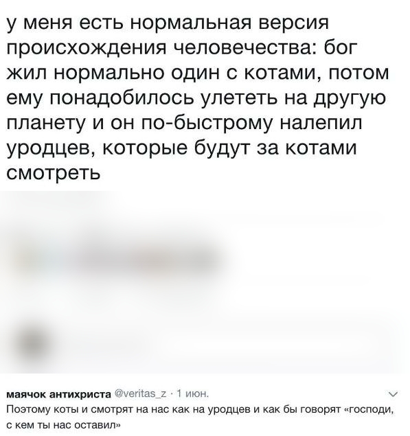 у меня есть нормальная версия происхождения человечества бог жил нормально один с котами потом ему понадобилось улететь на другую планету и он по быстрому налепил уродцев которые будут за котами смотреть МВПЧОК антихриста Туоми 2 1 Он Поэтому коты и смотрят на нас как на уродцев и как бы говорят господи с кем ты нас оставил