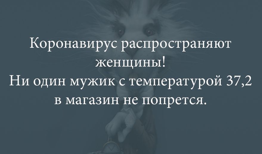 Коронавирус распространяют женщины Ни один мужик с температурой 372 в магазин не попрется