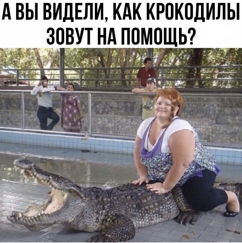 А вы видели КАК крокодилы __ зовут нА помошьг _