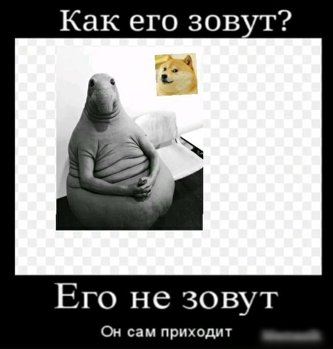 Как его зов т Его не зовут Он сам приходит