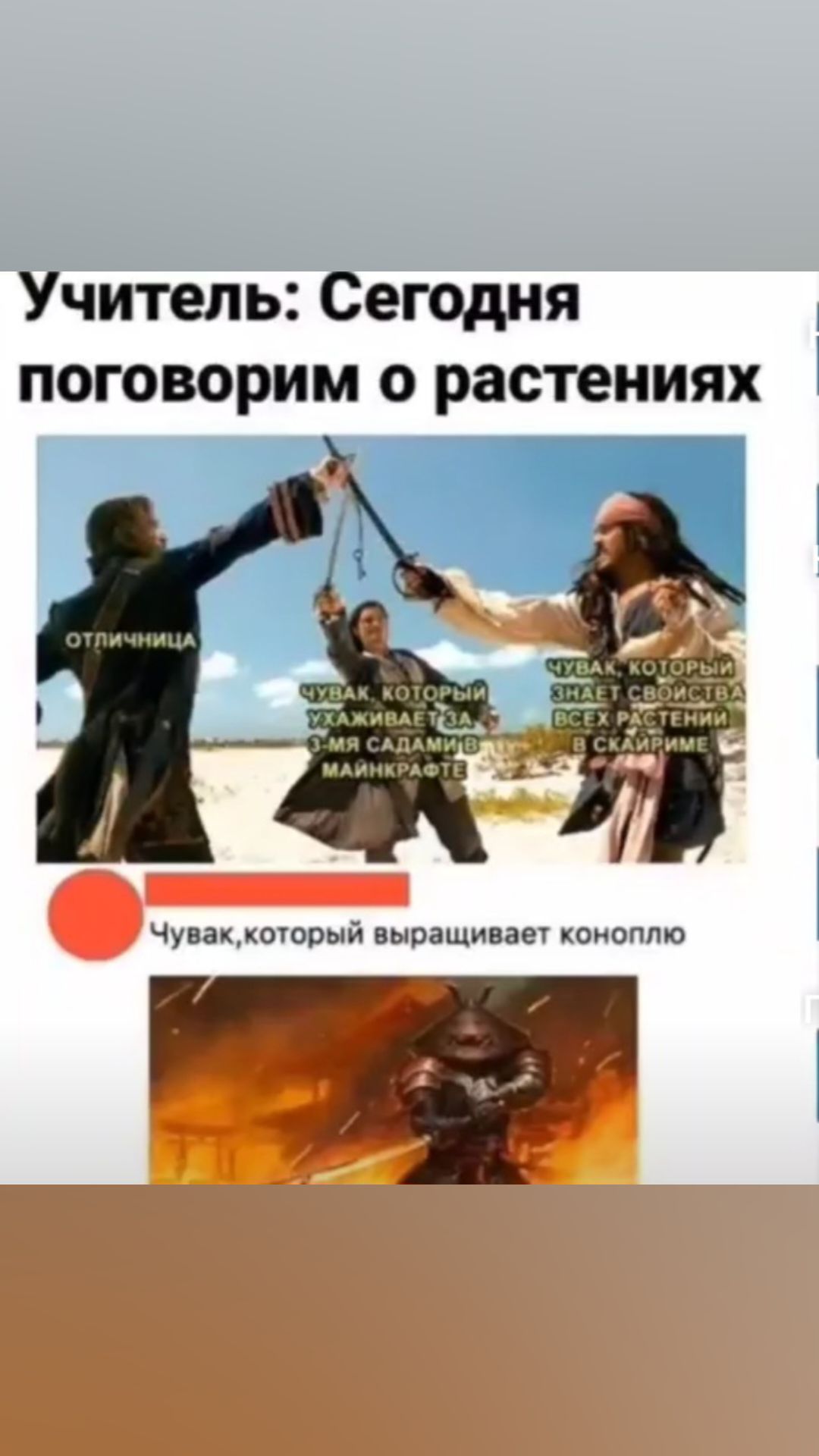 Учитель Сегодня поговорим о растениях Чувацоюпый выпащинаш коноплю