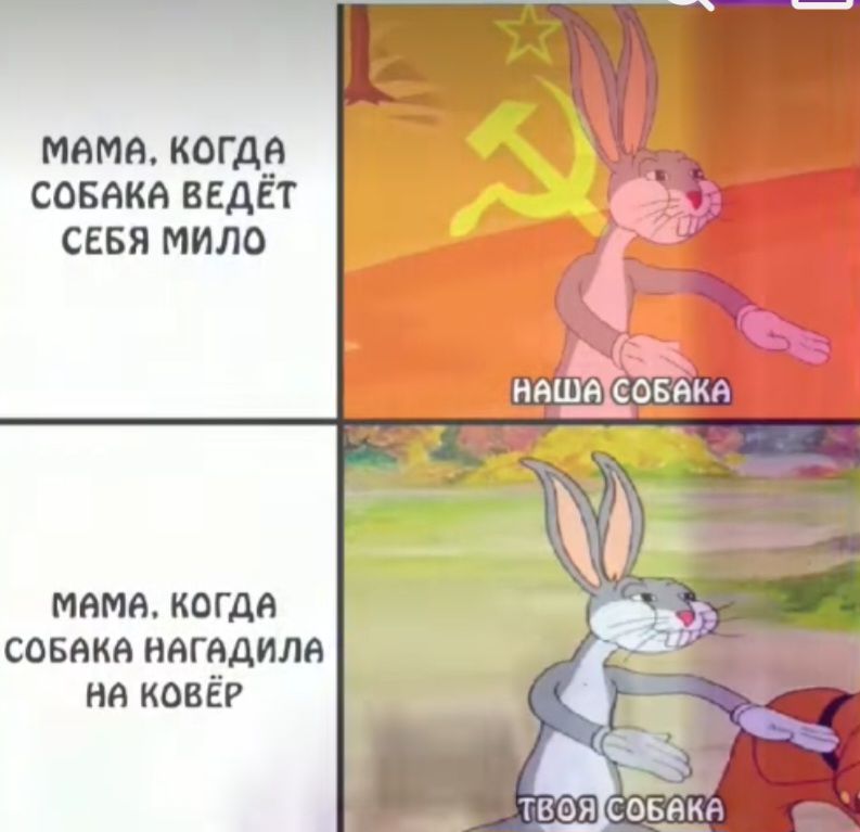 маме когда совнкя ведёт ссвя мило мама кагда совет негмиля ня ковёр