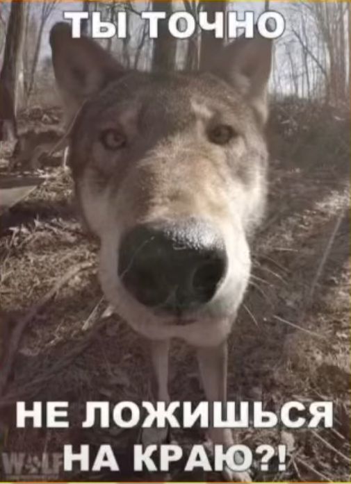 не ложишьса нд КРА 15
