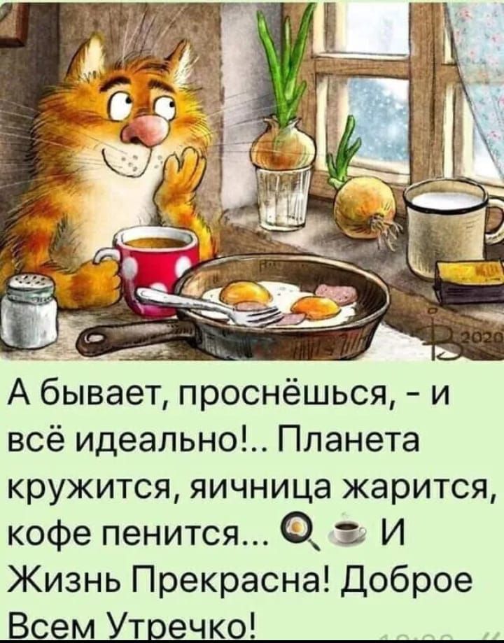 А бывает проснёшься и всё идеально Планета кружится яичница жарится кофе пенится 3 И Жизнь Прекрасна Доброе Всем Утречко