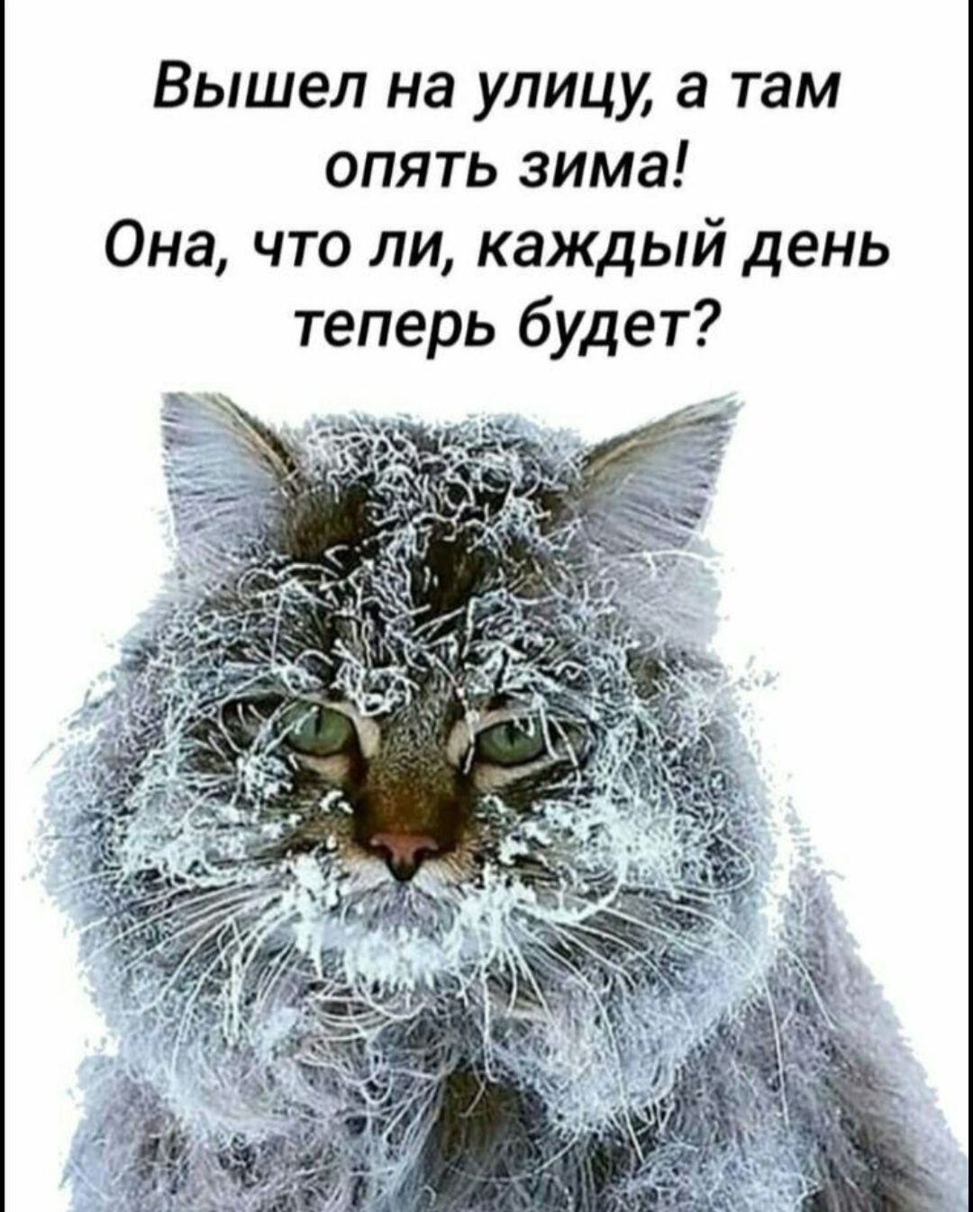 ТЭМ Вышел на улицу ОПЯТЬ зима а что л и каждыи день Он теперь будет