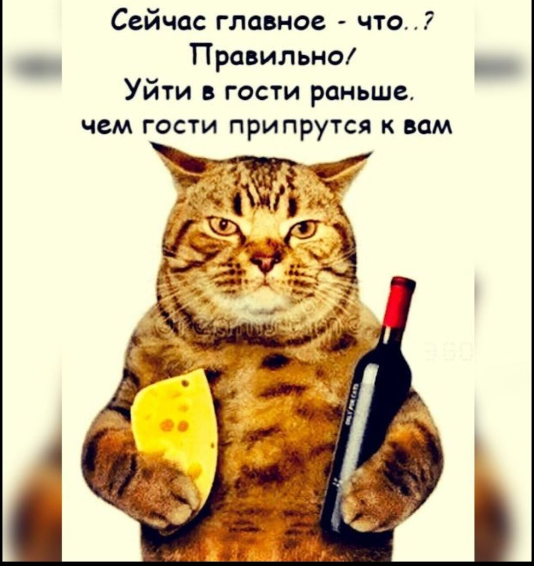 Сейчас главное что _ Правильно _ Уити в гости раньше чем гости припрутся к вам