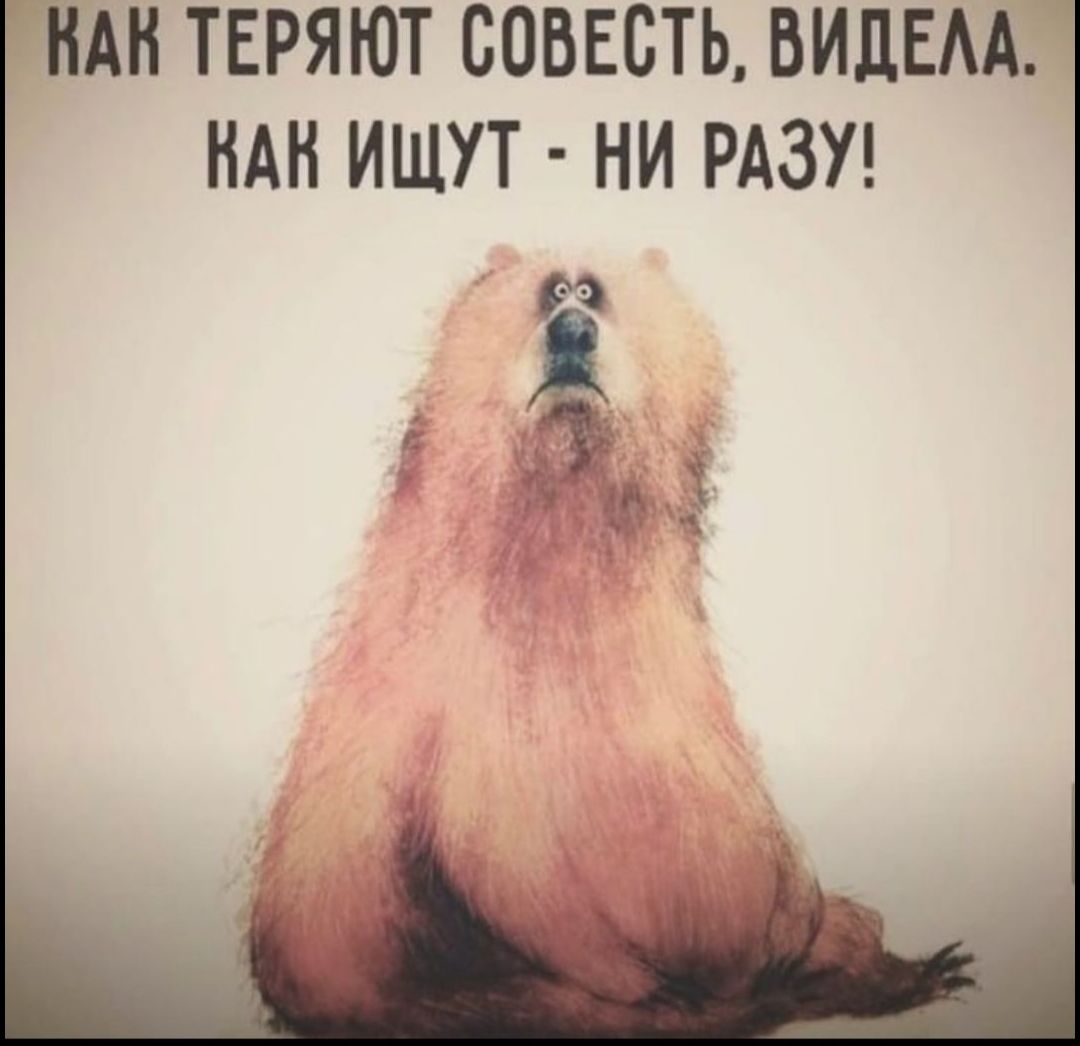 НАН ТЕРЯЮТ СОВЕСТЬ ВИДЕАА НАН ИЩУТ НИ РАЗУ