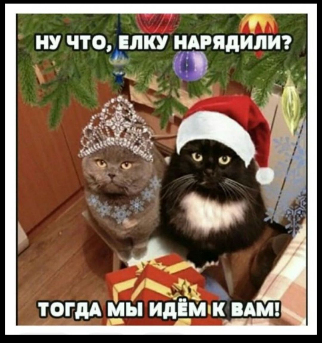 НУ ЧТОЛКУ НАРЯДИЛИ ТОГДА мы дім ВАМ