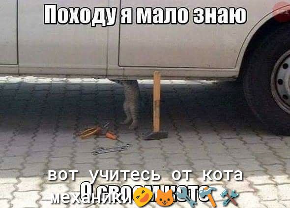 ищущие ог нога Г гал ИА