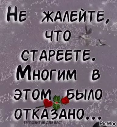 Не жмете что ЖА стдреете Многим это ыло од5дшдно4