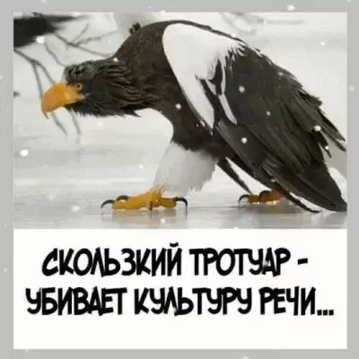 СКОАЬЗКИЙ ТРОТЧАР ЧБИВАЕТ РЕЧИ