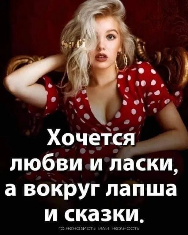Хочеісі любви и ласки а вокруг лапша ЁЗЧЁЁИ