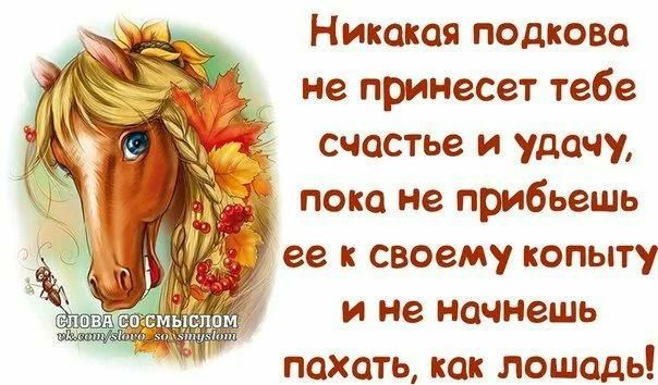 Никакая подкова не принесет тебе счастье и удачу 1 пока не прибьешь ее к своему копыту и не начнешь похоть как лошадь