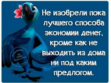 Ъ Не изобрели пока лучшего способа экономии денег кроме как не ВНХОДИТЬ ИЗ дома ни под каким предлогом