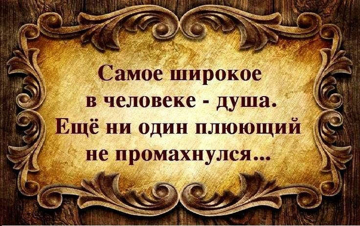 в человеке душа щё ни один плюющи