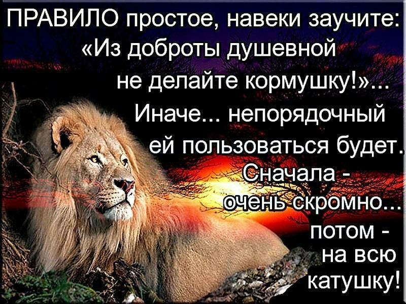 ПРАВИЛО простое навеки заучите Из доброты душевной не делайте кормушку Иначе непорядочный Ё ей пользоваться будет