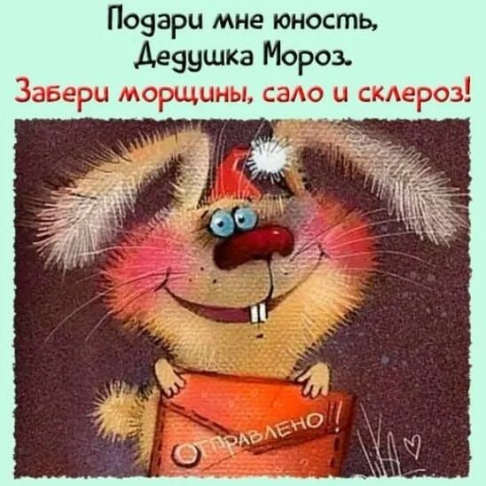Почдари мне юность, дедушка мороз. Завери морщины, сало и склероз!