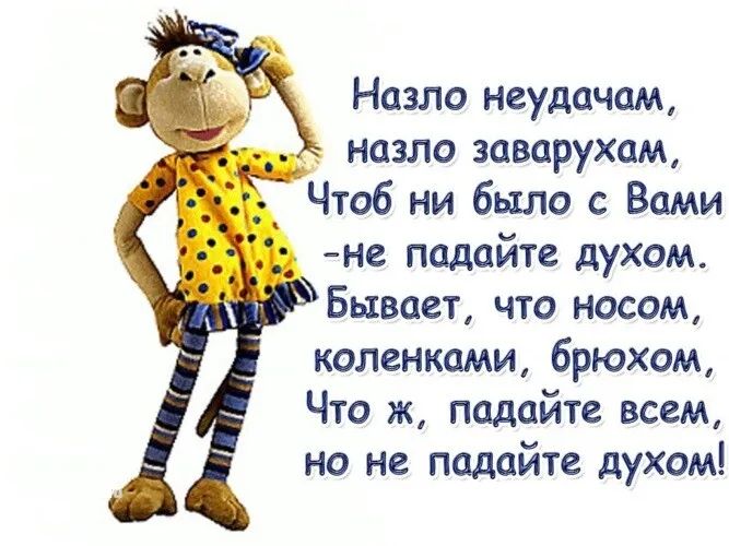 Назло неудачам назло заварухам Чтоб ни было с Вами не падайте духом Бывает что носом коленками брюхом Что ж падайте всем но не падайте духом