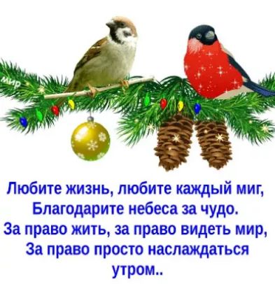 Жизнь, любите кажды беса за чудо. Одарите не а право видеть наслаждатьс; утром..