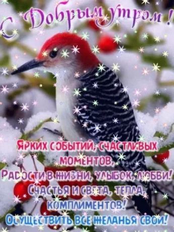 _ _ _ аМПММЕНТОВ УЩКТВИЭБВЪ ШЪМНЬЕ 1