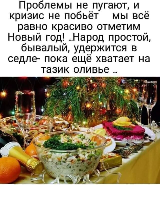 Проблемы не пугают и кризис не побьёт мы всё равно красиво отметим Новый год Народ простой бывалый удержится в седле пока ещё хватает на тазик оливье