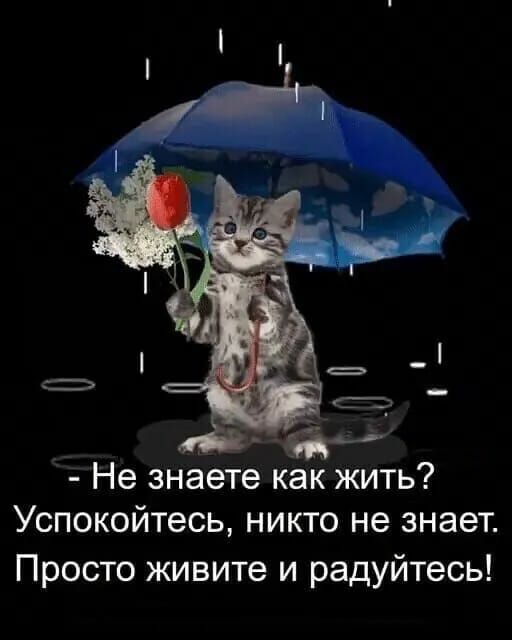 Не знаете как жить Успокойтесь никто не знает Просто живите и радуйтесь