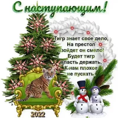 0 и г На при г зайдет пи смели Будет тигр _ апь держать 3