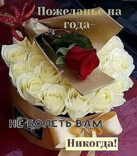 Никогда