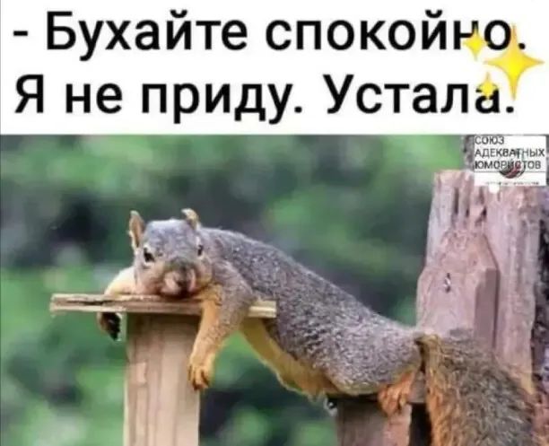 Бухайте спокой Я не приду Уста 3 гщпых