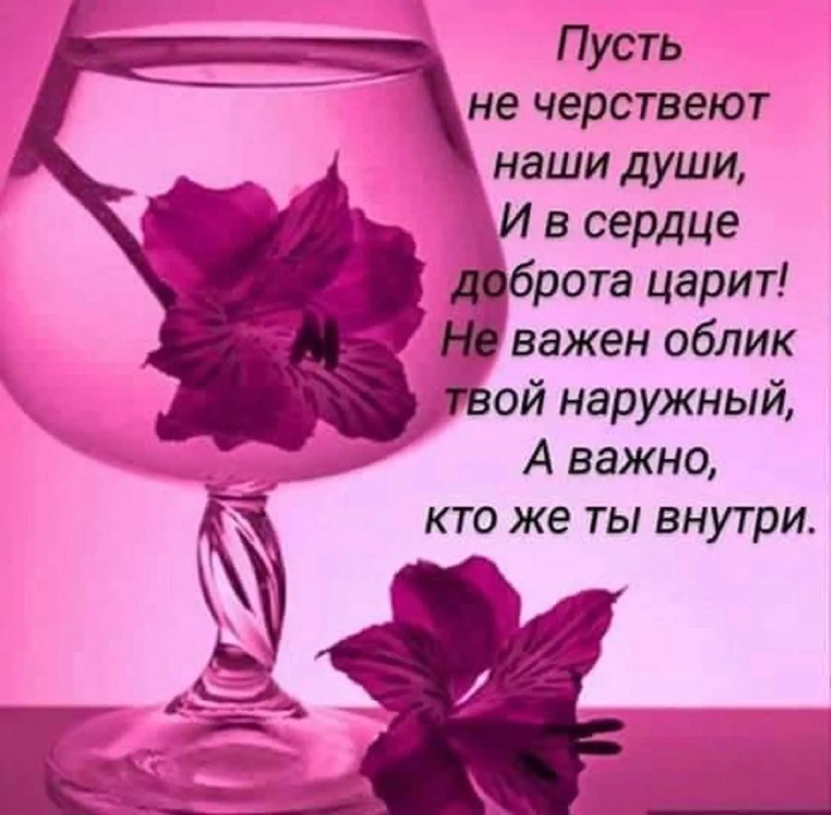 Пусть не черствеют наши души И в сердце рота царит важен облик ой наружный А важно кто же ты внутри