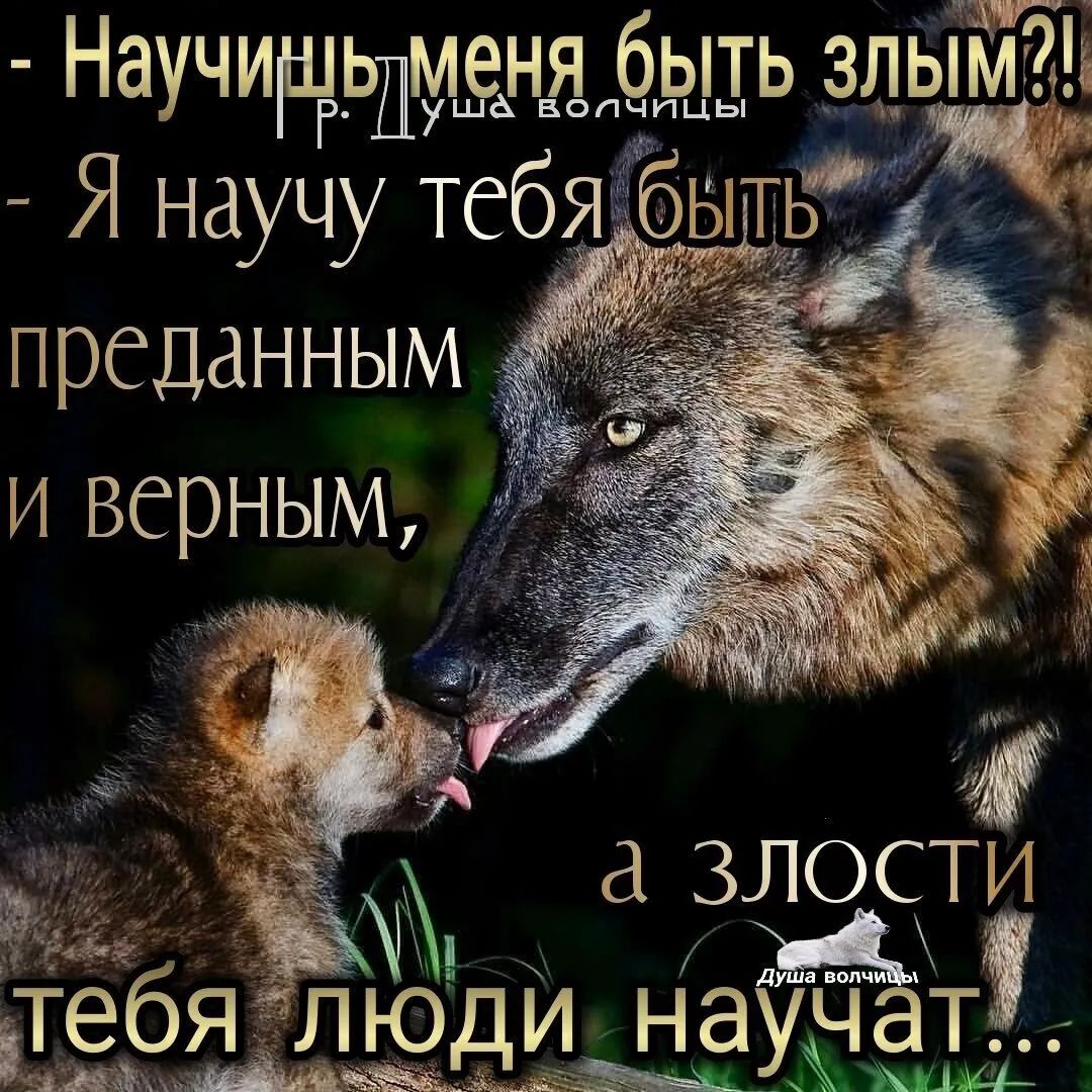 БОПЧ ПЦЬ Я научу тебящ преданным и верным аучиш_ьдмеёня ыть __злым71ь а злости ди научат дыма Ыі