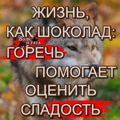 КАКИШОКЖМАД ГОРЁ ПФМГАЕТ ЦЕНИЩЬ ЁЁАДОСТЬ