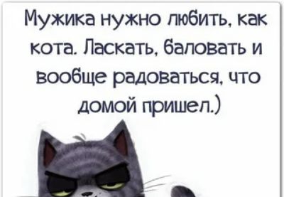 Мужика нужно любить как кота Ласкать баловать и вообще радоваться что домой пришел