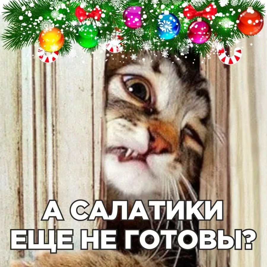 НЕ ГОТОВЫ