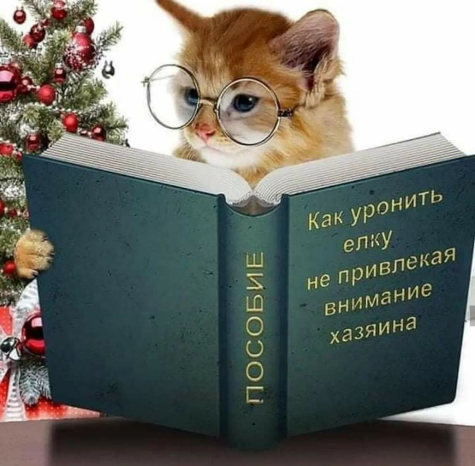 Пособие